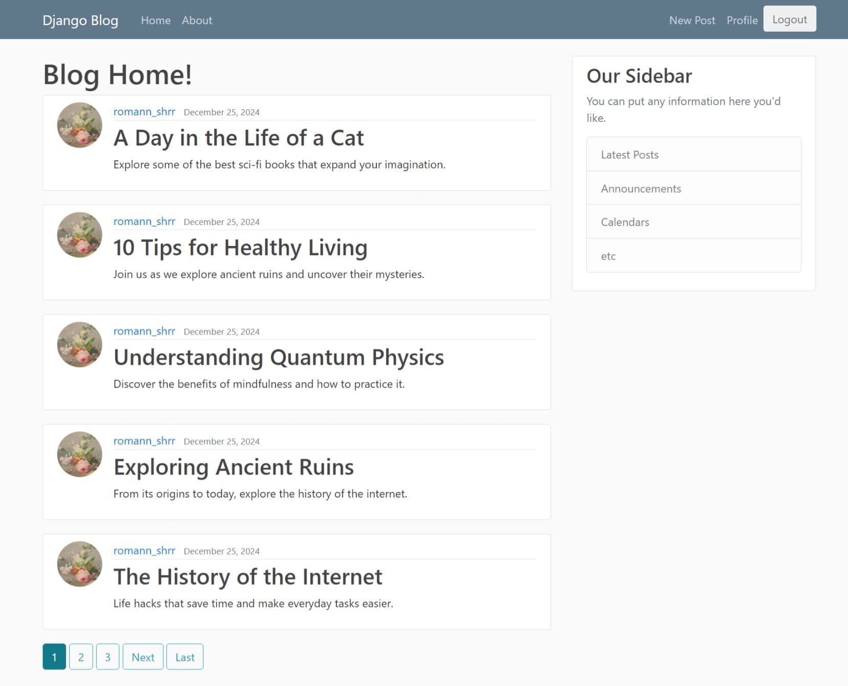 Django Blog product interface