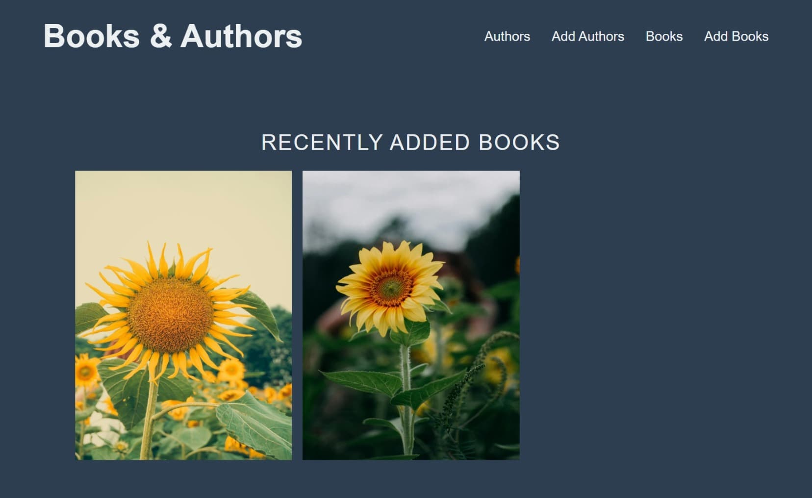 My Book Library product interface